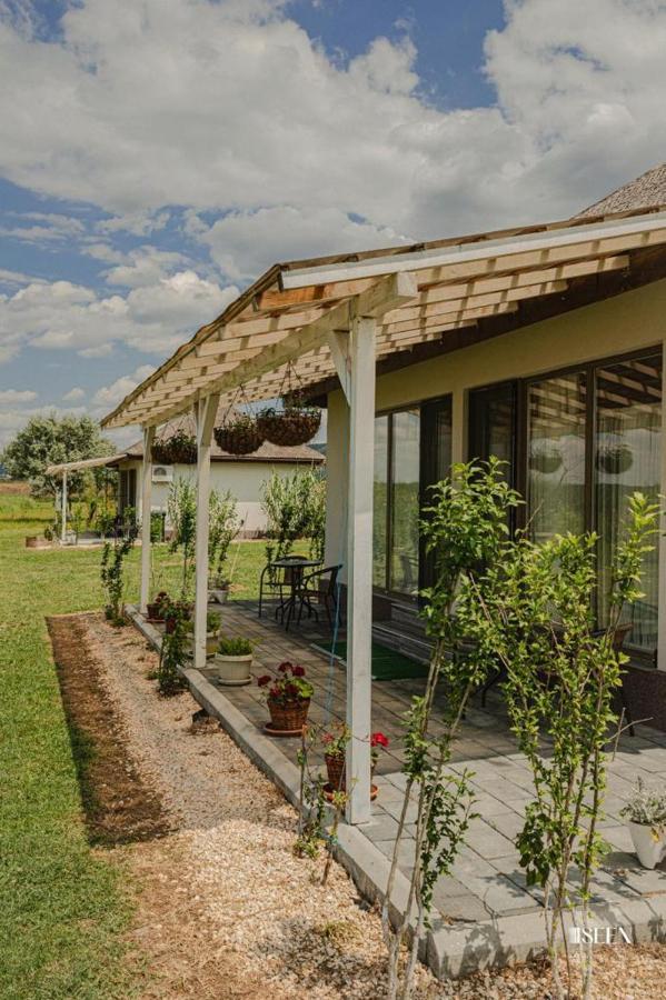 Pensiunea Balta Paradisul Pescarilor Pufesti Exteriér fotografie