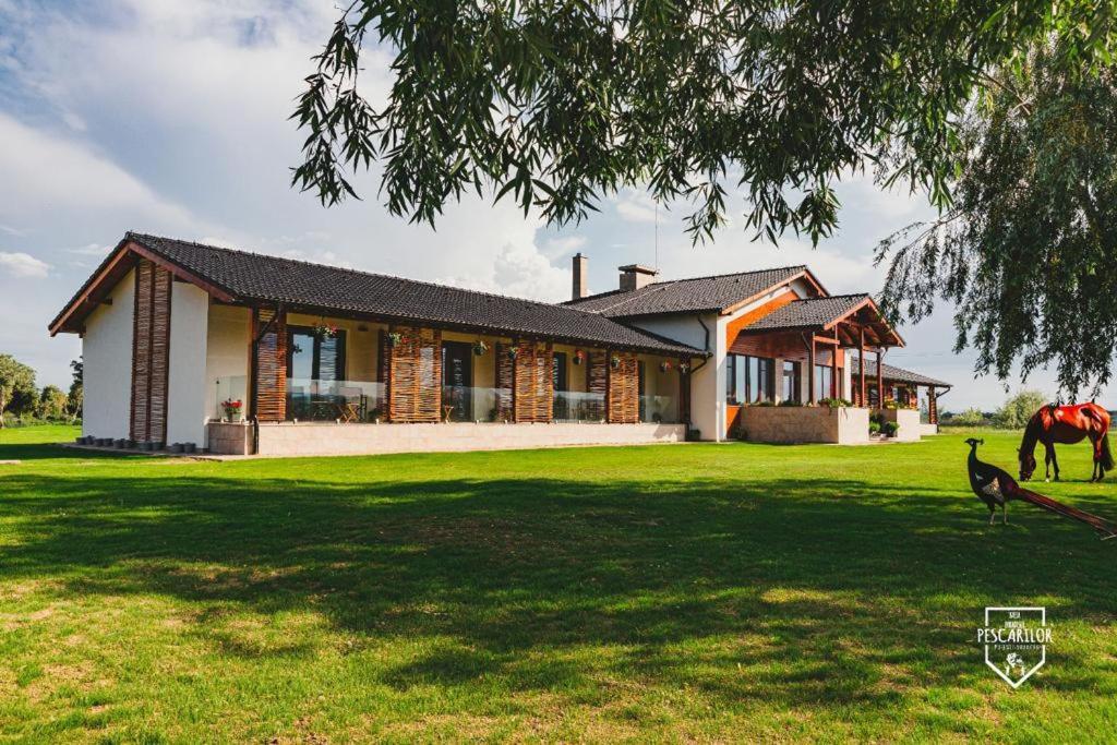 Pensiunea Balta Paradisul Pescarilor Pufesti Exteriér fotografie